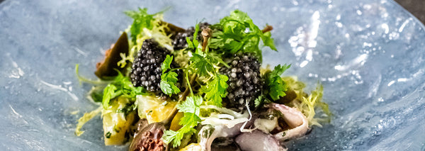 Marinated octopus with caviar