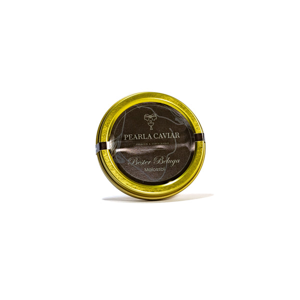 Bester Beluga Caviar 20g